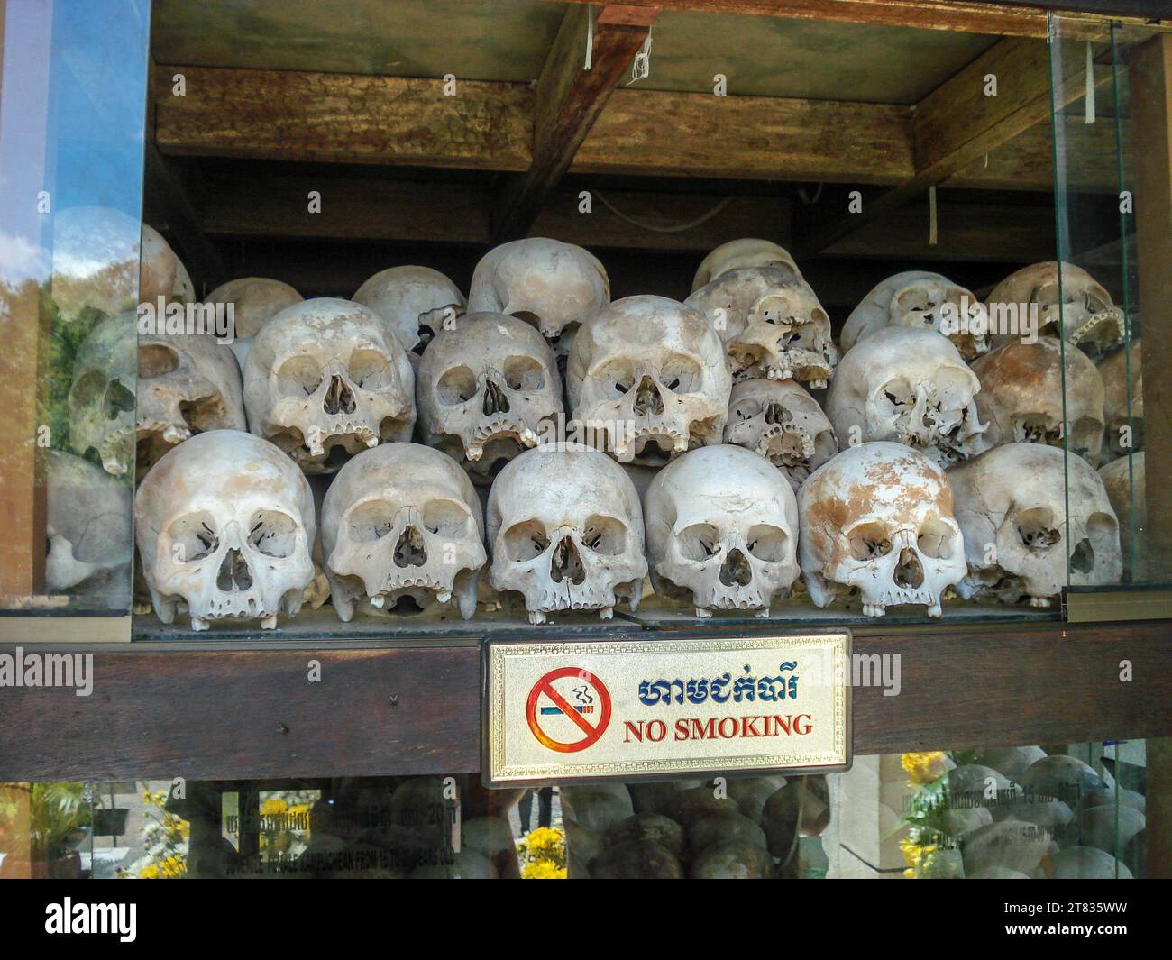 A museum display showcasing a selection of skulls and signs in a glass cabinet Stock Photo