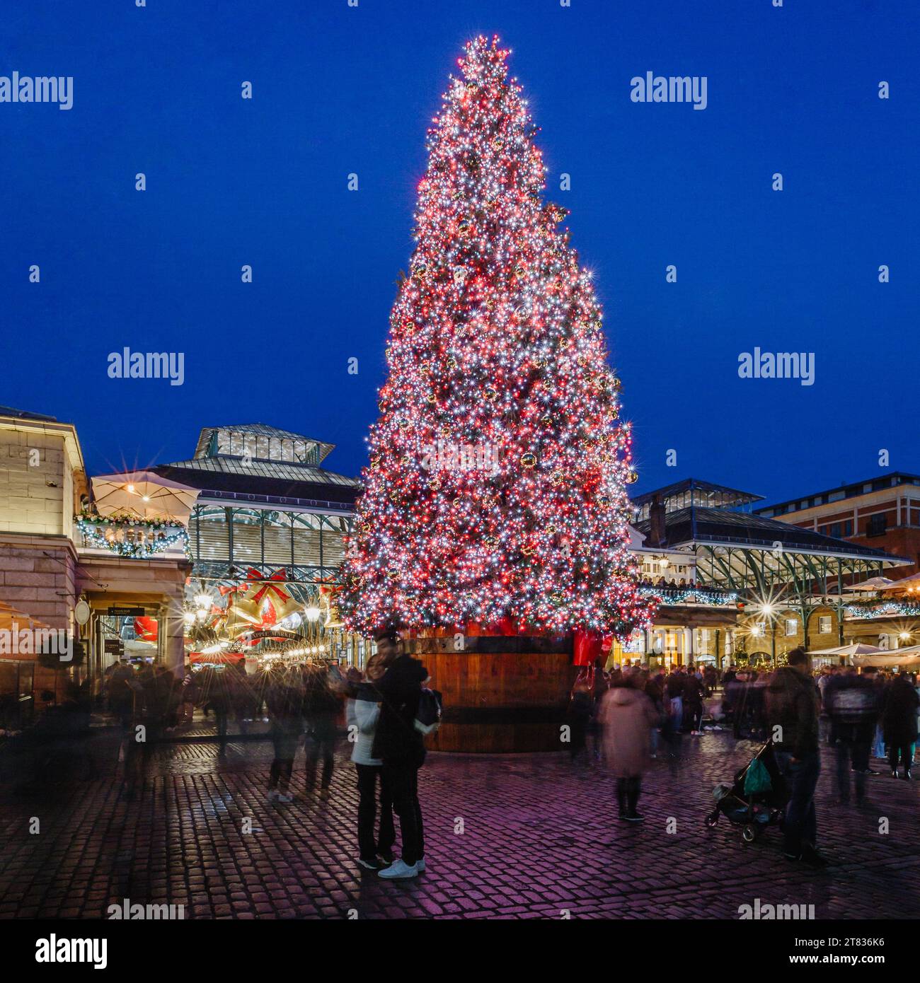 The Giant Christmas Tree In Covent Garden Stands Tall And Bright At 
