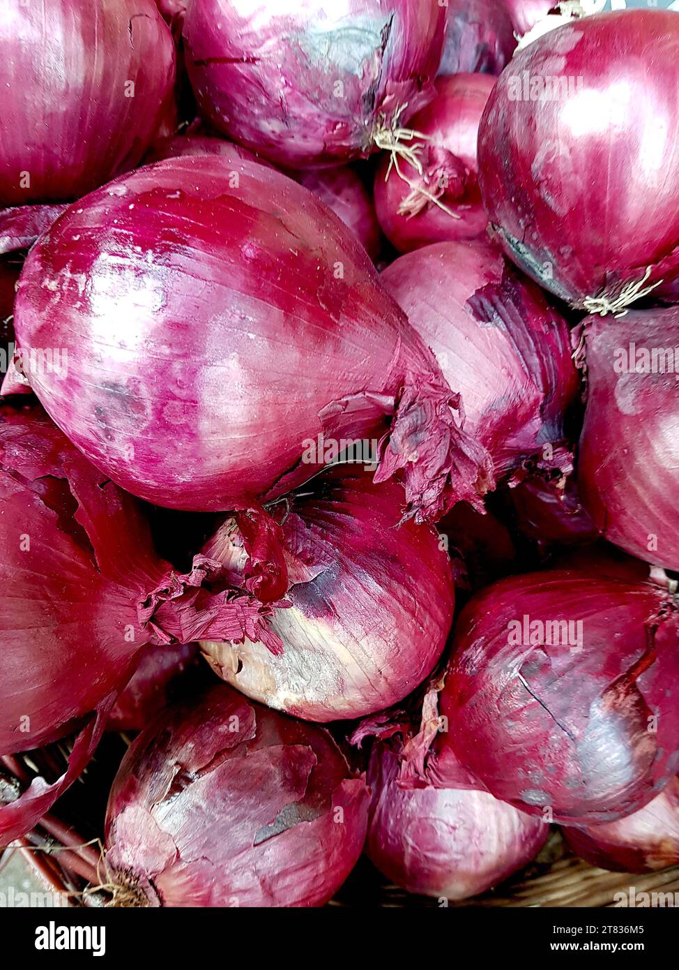 Onions door hi-res stock photography and images - Alamy