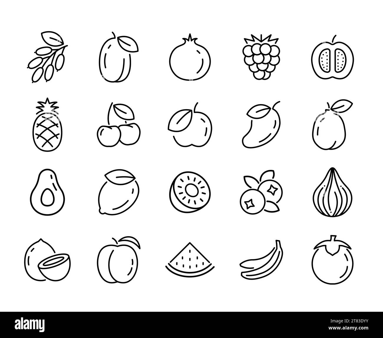 Fruit line icon isolated tropical food. Linear healthy outline apple grape cherry stroke sign vector illustration. Stock Vector