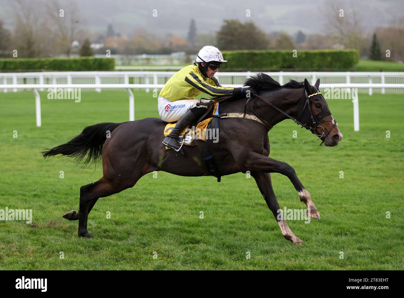 Burdett road horse 2023 hires stock photography and images Alamy