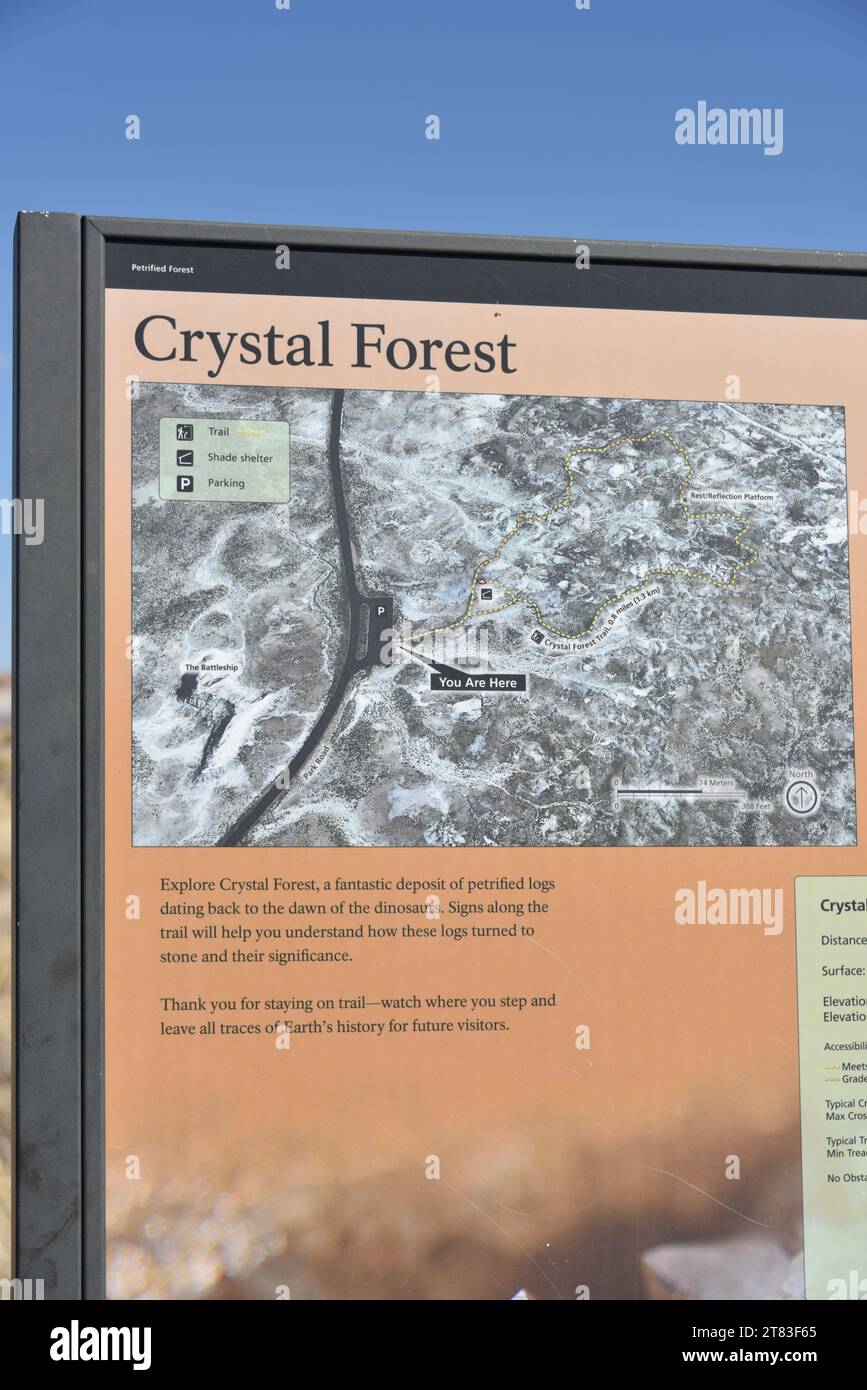 Petrified Forest National Park, AZ., USA. 10/17-18/2023. Crystal Forest.  The Triassic-era conifers that comprise most of the fossilized logs Stock Photo