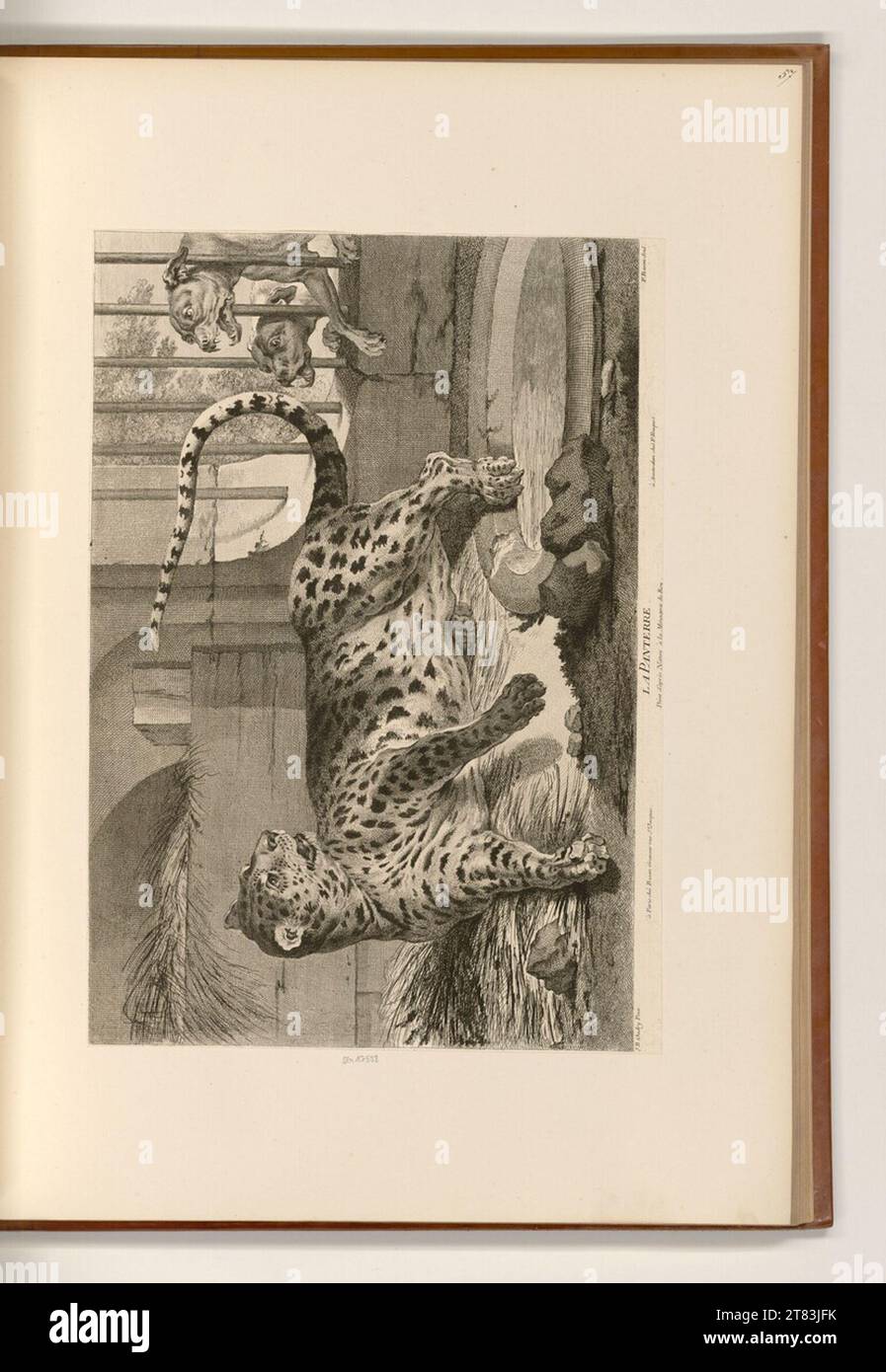 Artist pierre francois basan hi-res stock photography and images - Alamy