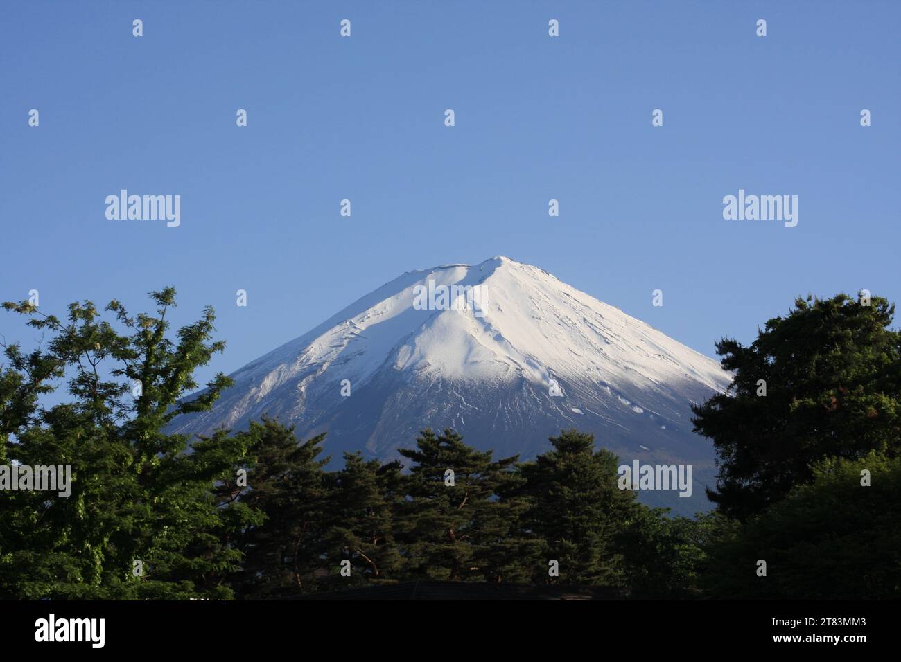Mount Fuji Stock Photo