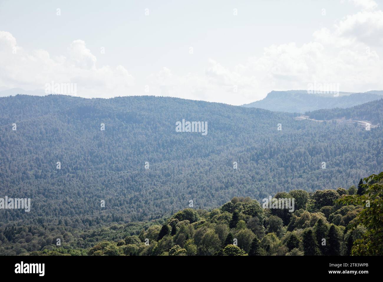 dense forest on the mountains nature sky journey view from above Stock Photo