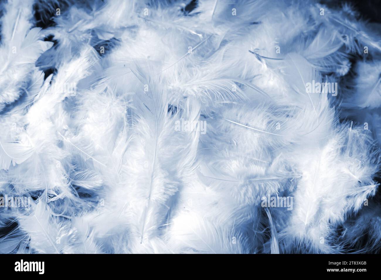 Subtle line art texture hi-res stock photography and images - Alamy