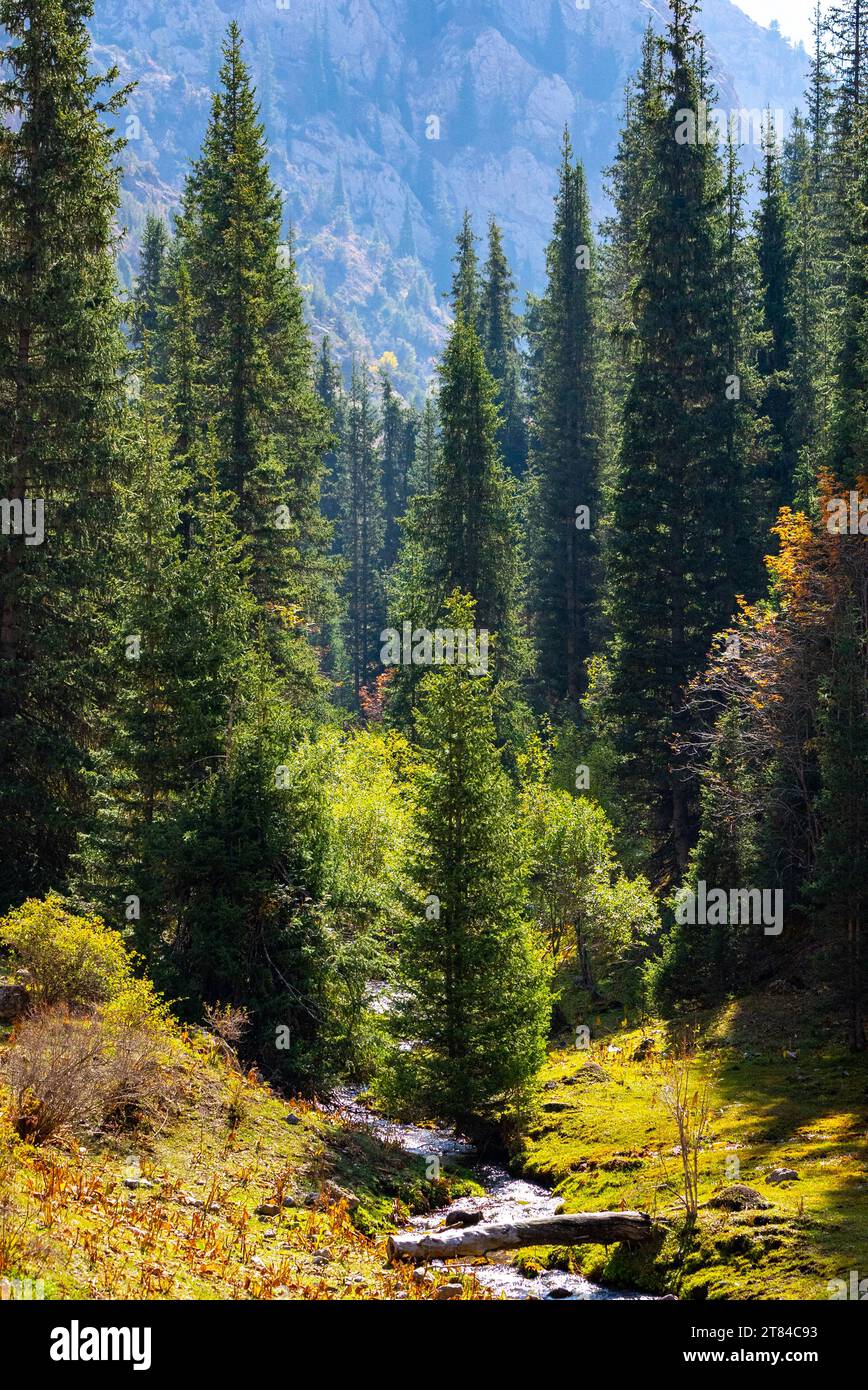 Mountainous landscape in Kyrgyzstan Stock Photo