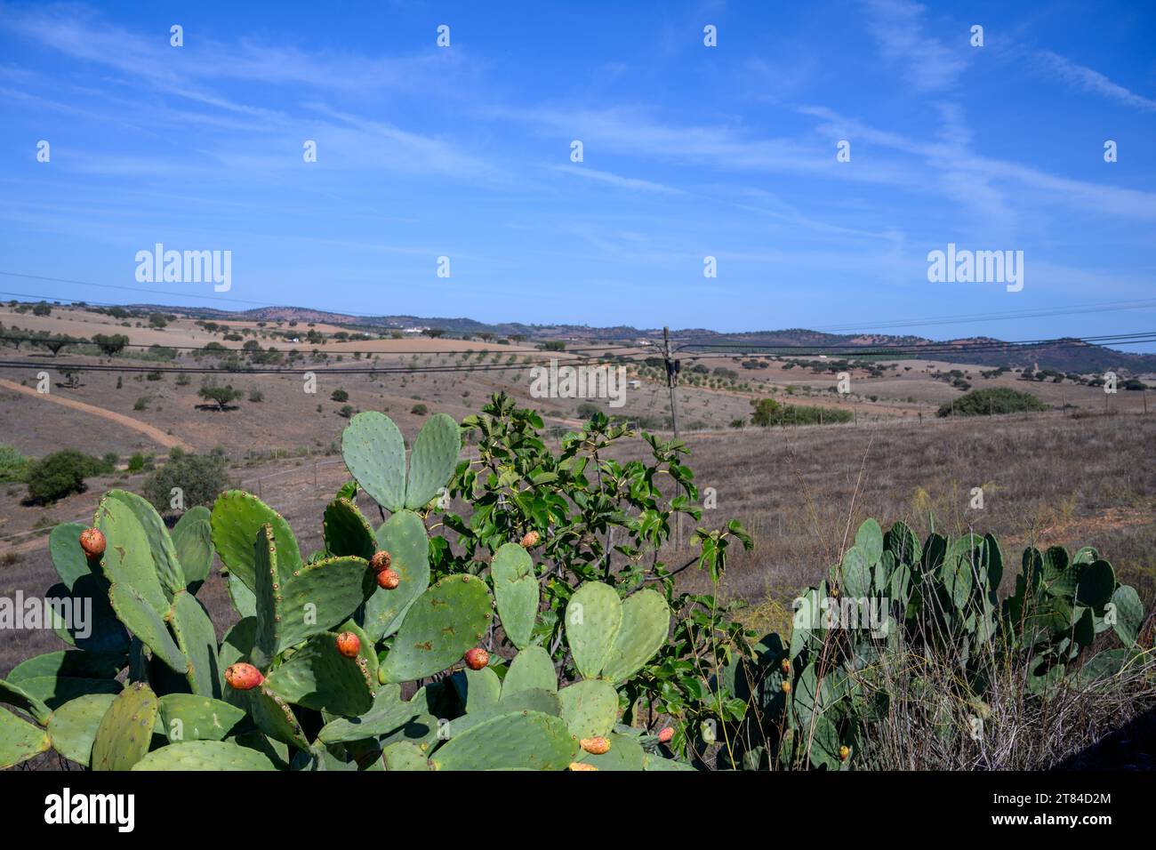 Alentejo landscape near Redondo Stock Photo