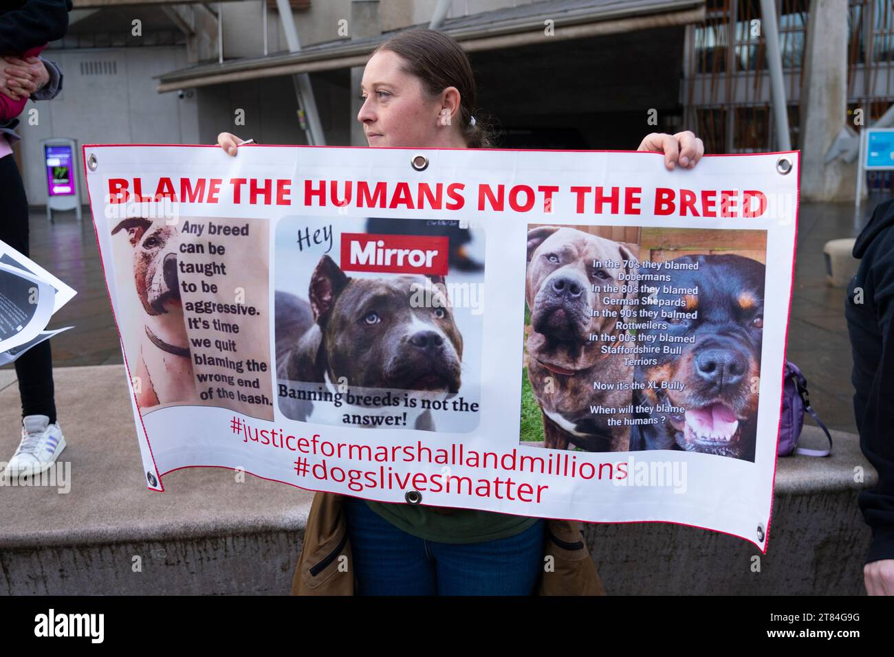 2t84g9g hires stock photography and images Alamy