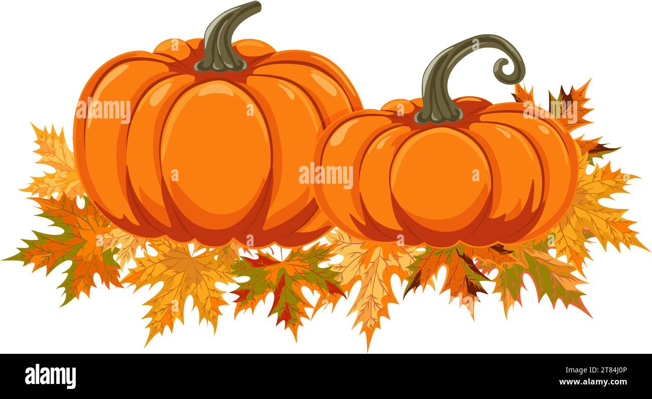 Two autumn orange pumpkins in a cartoon style stand on autumn maple leaves. Design element for Halloween, Thanksgiving, harvest festival. Dietary vege Stock Vector