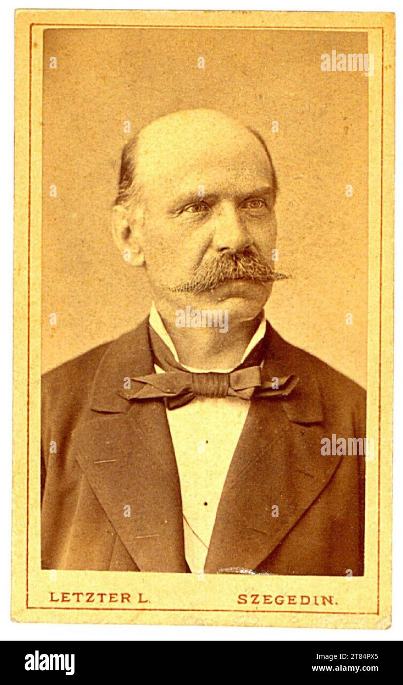 Lázár Letzter Men's portrait. Albuminpapier / Visitformat 1879 , 1879 Stock Photo