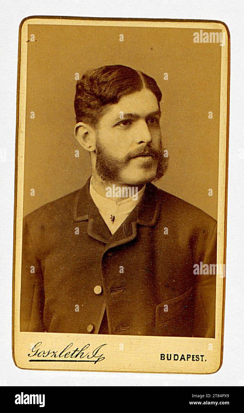 Istvan Goszleth Men's portrait with baking beard. Albuminpapier / Visitformat 1884 , 1884 Stock Photo