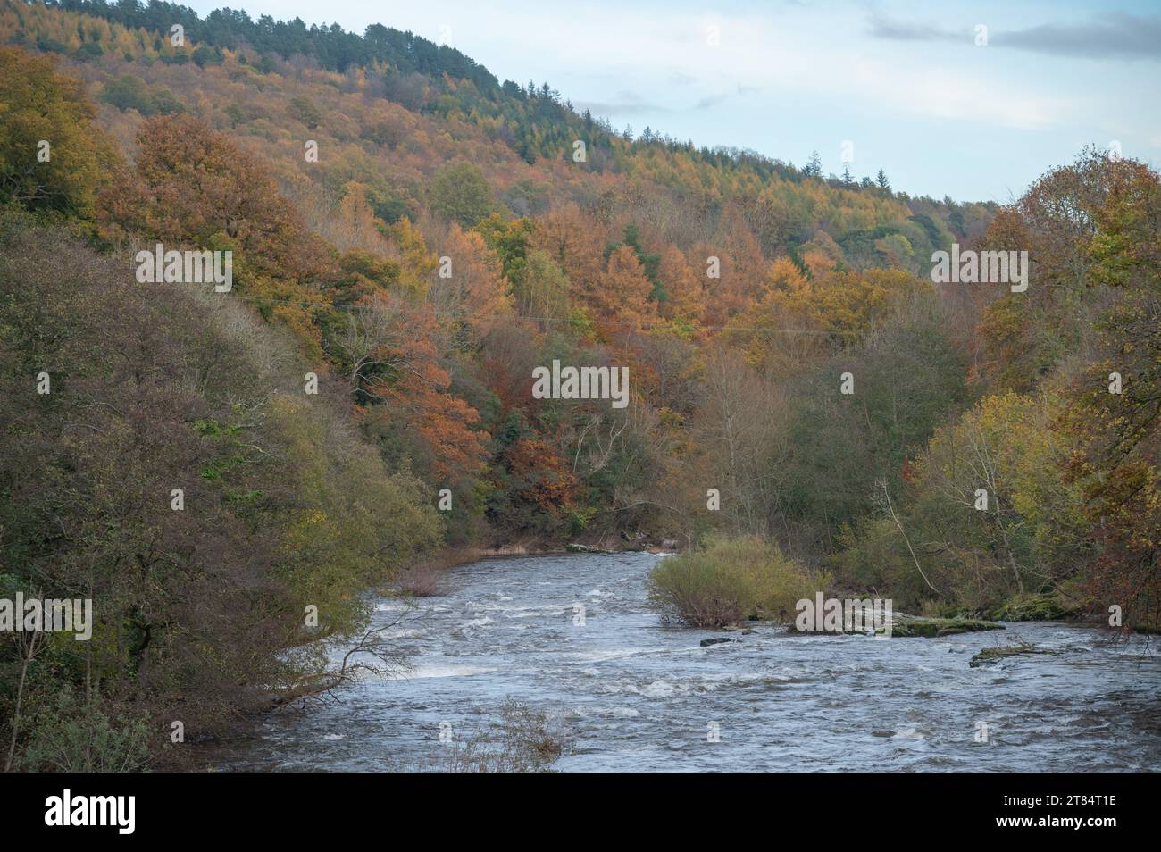 Usk river llangynidr hi-res stock photography and images - Alamy