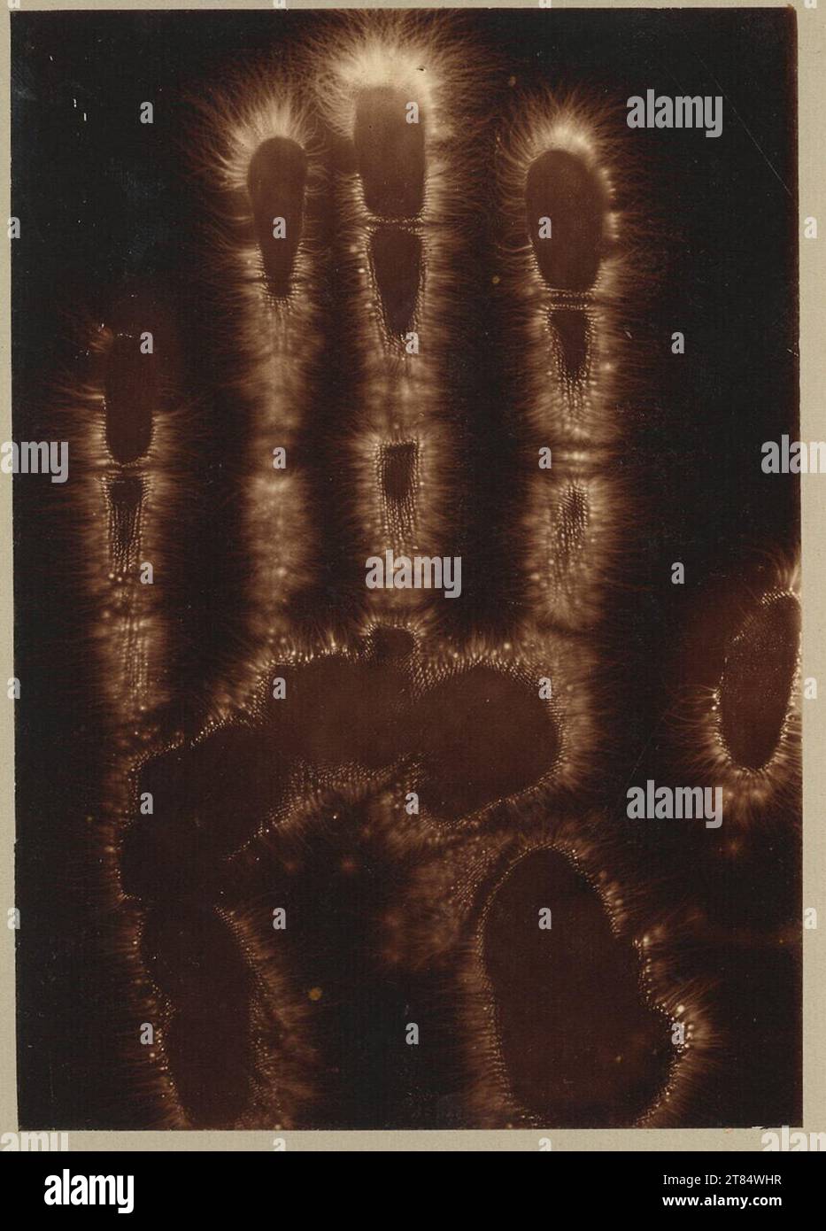 Electrography hi-res stock photography and images - Alamy