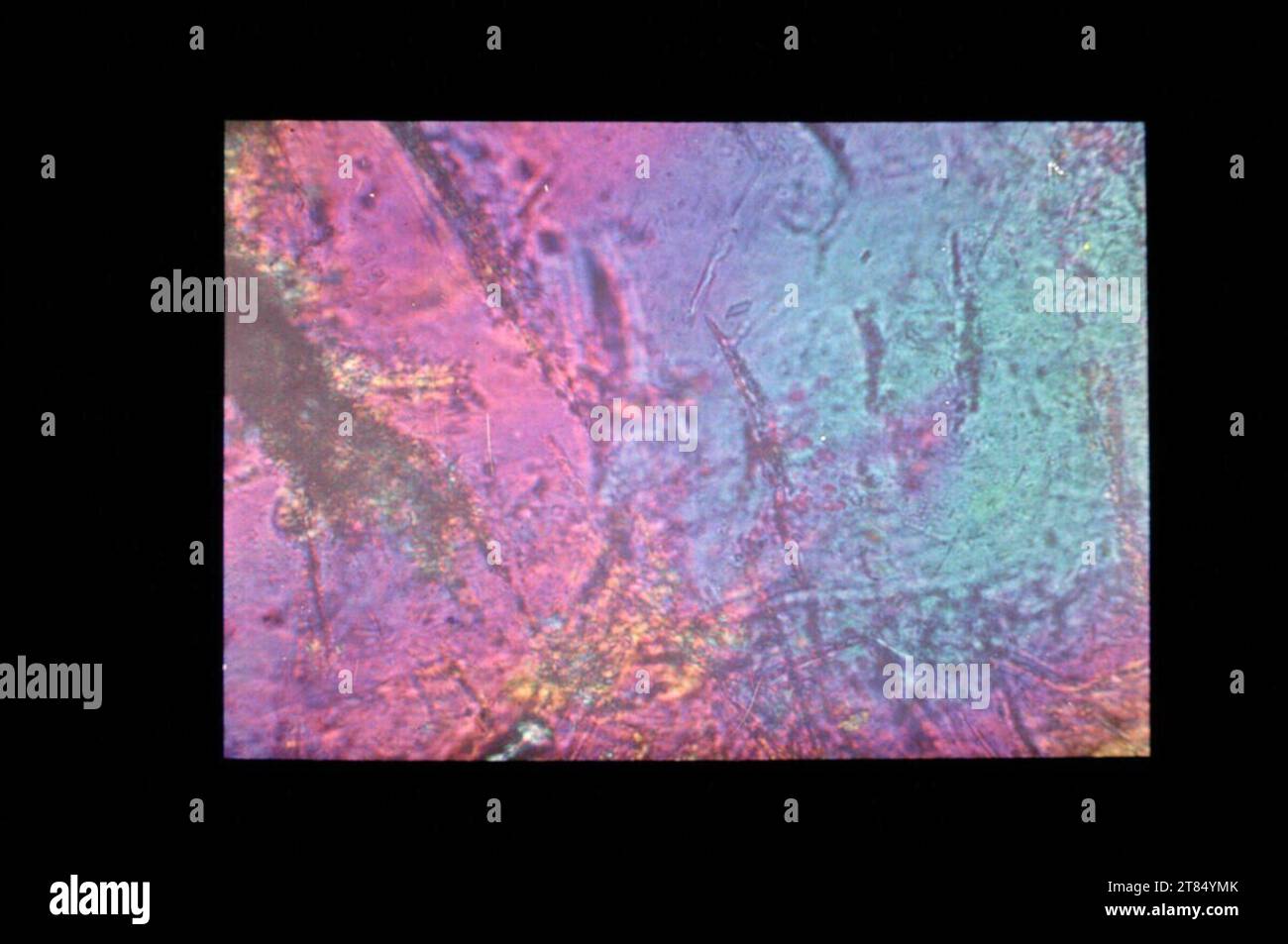 Biotite quartz feldspar hi-res stock photography and images - Alamy