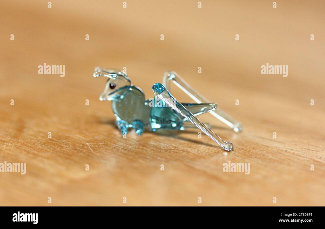 Orthoptera order hi-res stock photography and images - Alamy