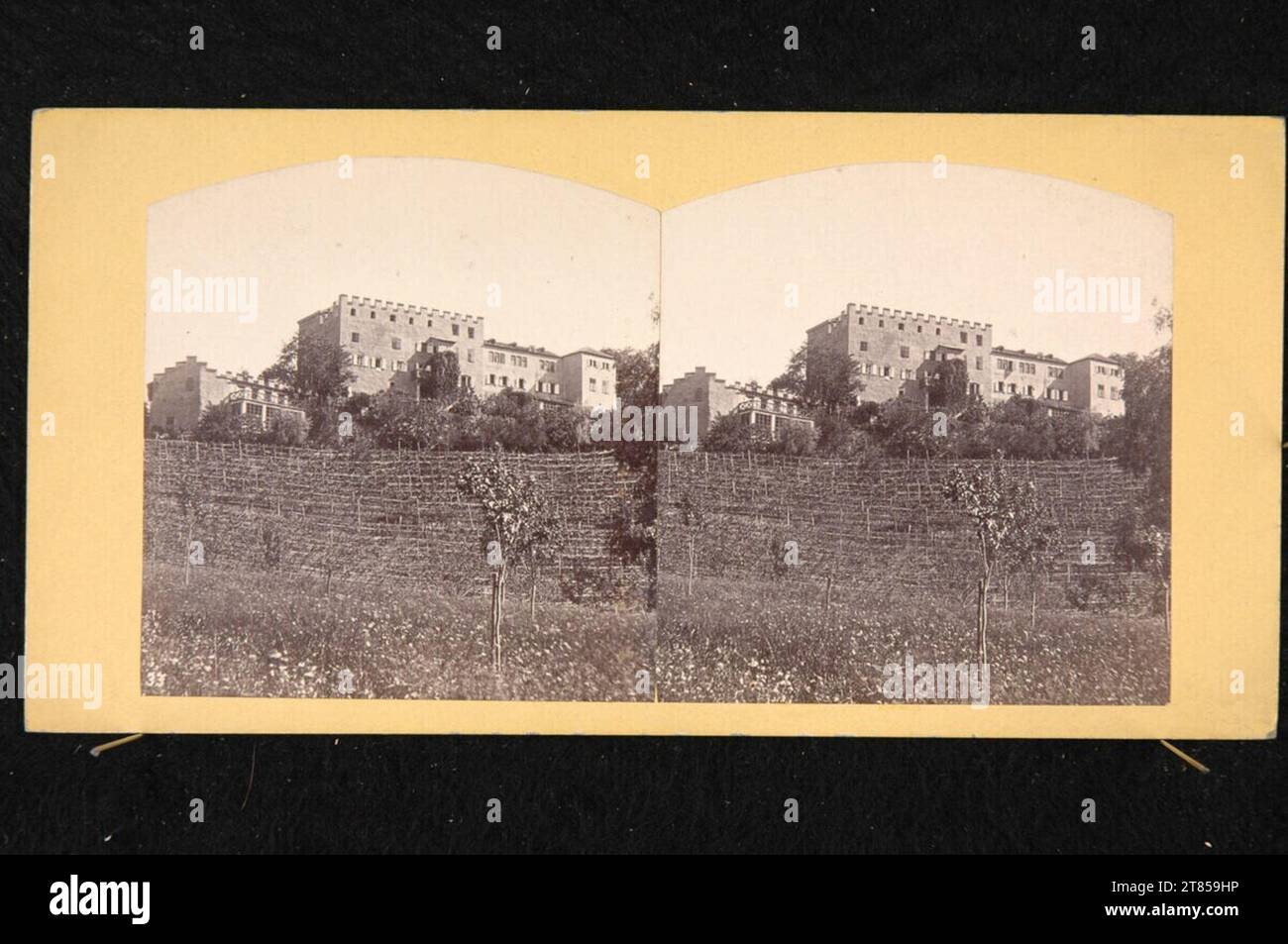 Peter Moosbrugger Neuberg Castle (today mostly Schlöss Trautmannsdorf gen.) In Obermais near Merano. Albumin paper, on the box box / stereo format Stock Photo