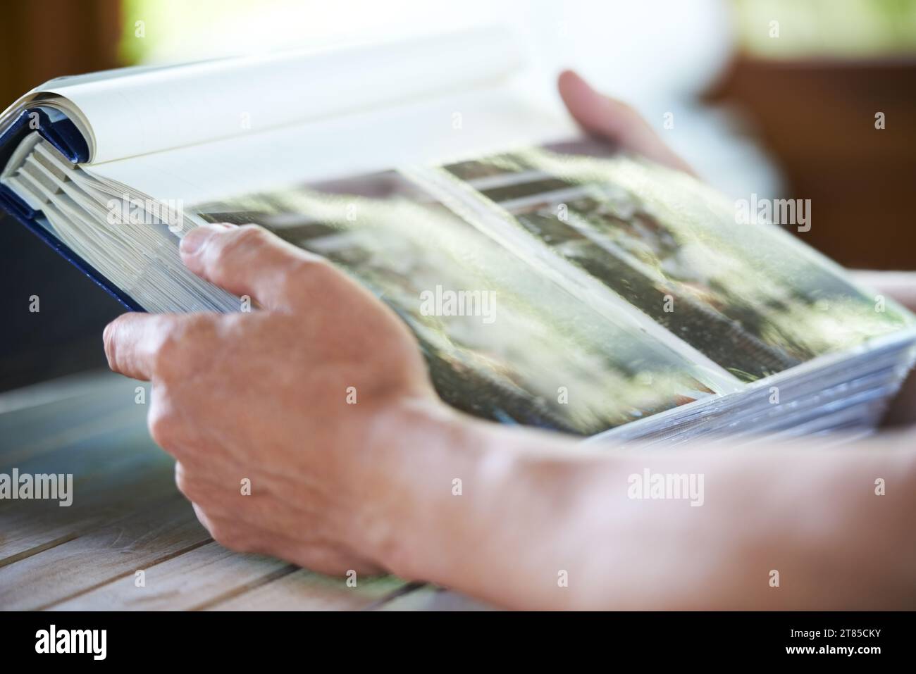 Photo Album, Photographs And Hands Of Person For Memory, Reflection And ...