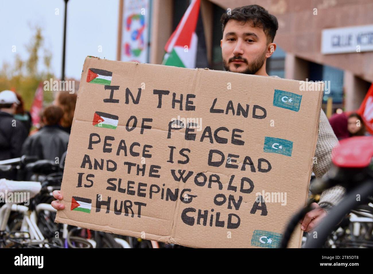 Demonstration in support of Gaza and the protection of the Palestinian