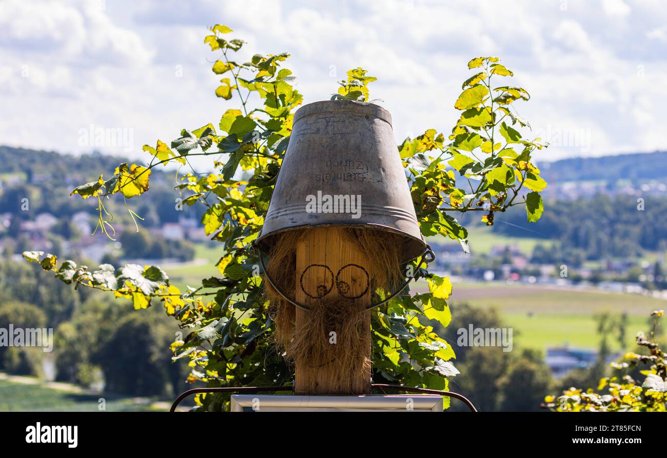 Männliche Figur Ein Holzstam wurd oberhalb der Rebberge von Andelfingen mit einem Eimer als Hut zu einer Figur verziert. Rafz, Schweiz, 04.09.2022 *** Male figure A wooden trunk was decorated with a bucket as a hat to form a figure above the vineyards of Andelfingen Rafz, Switzerland, 04 09 2022 Credit: Imago/Alamy Live News Stock Photo