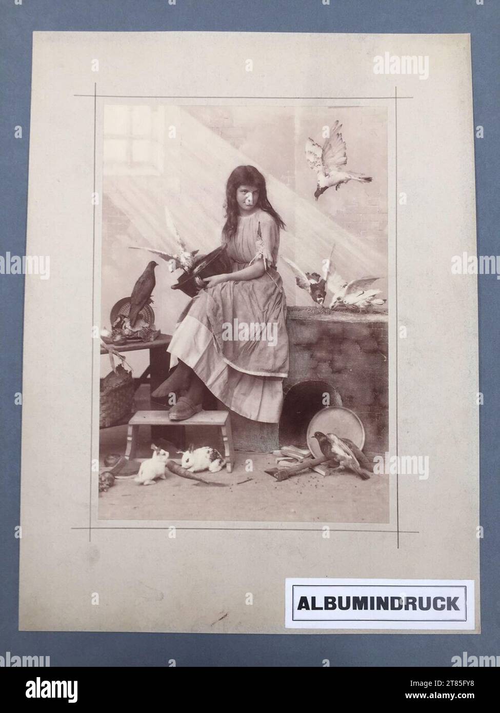 Mice rabbits hi-res stock photography and images - Alamy