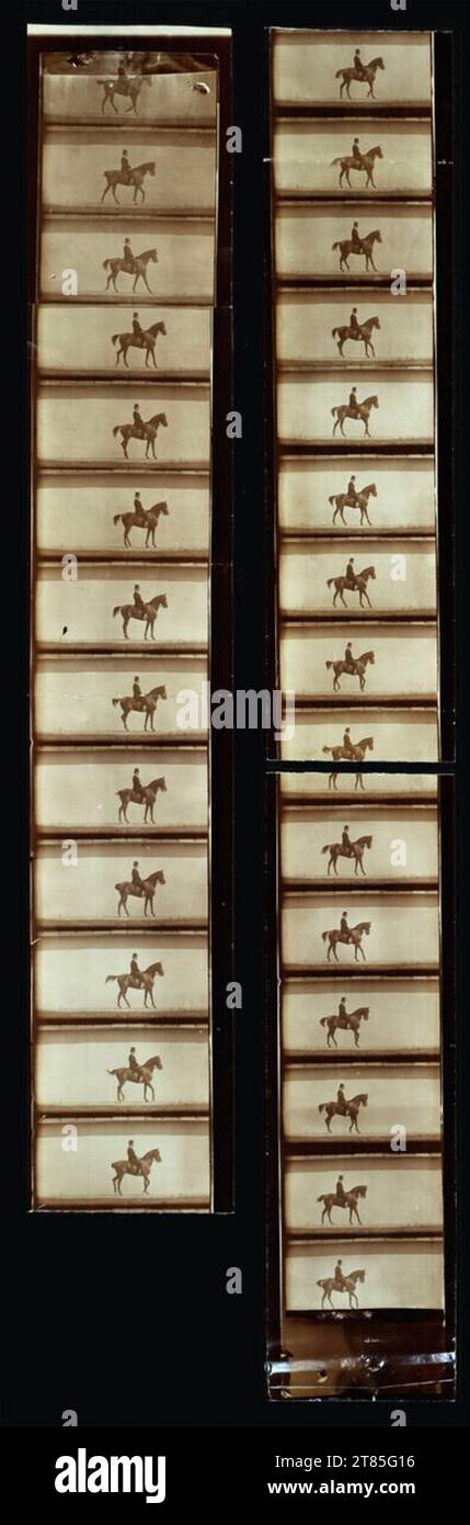 Étienne-Jules Marey Chronometric film strip of a dressage rider. Silver gelatine extension paper 1890er-Jahre Stock Photo