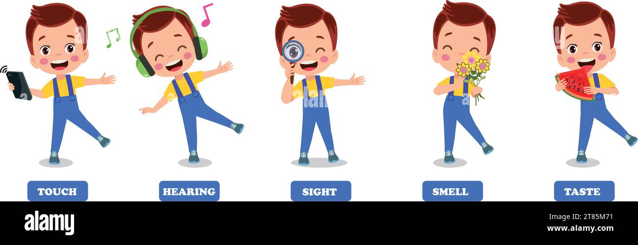 Five Senses Concept With Human Organs Stock Vector Image & Art - Alamy