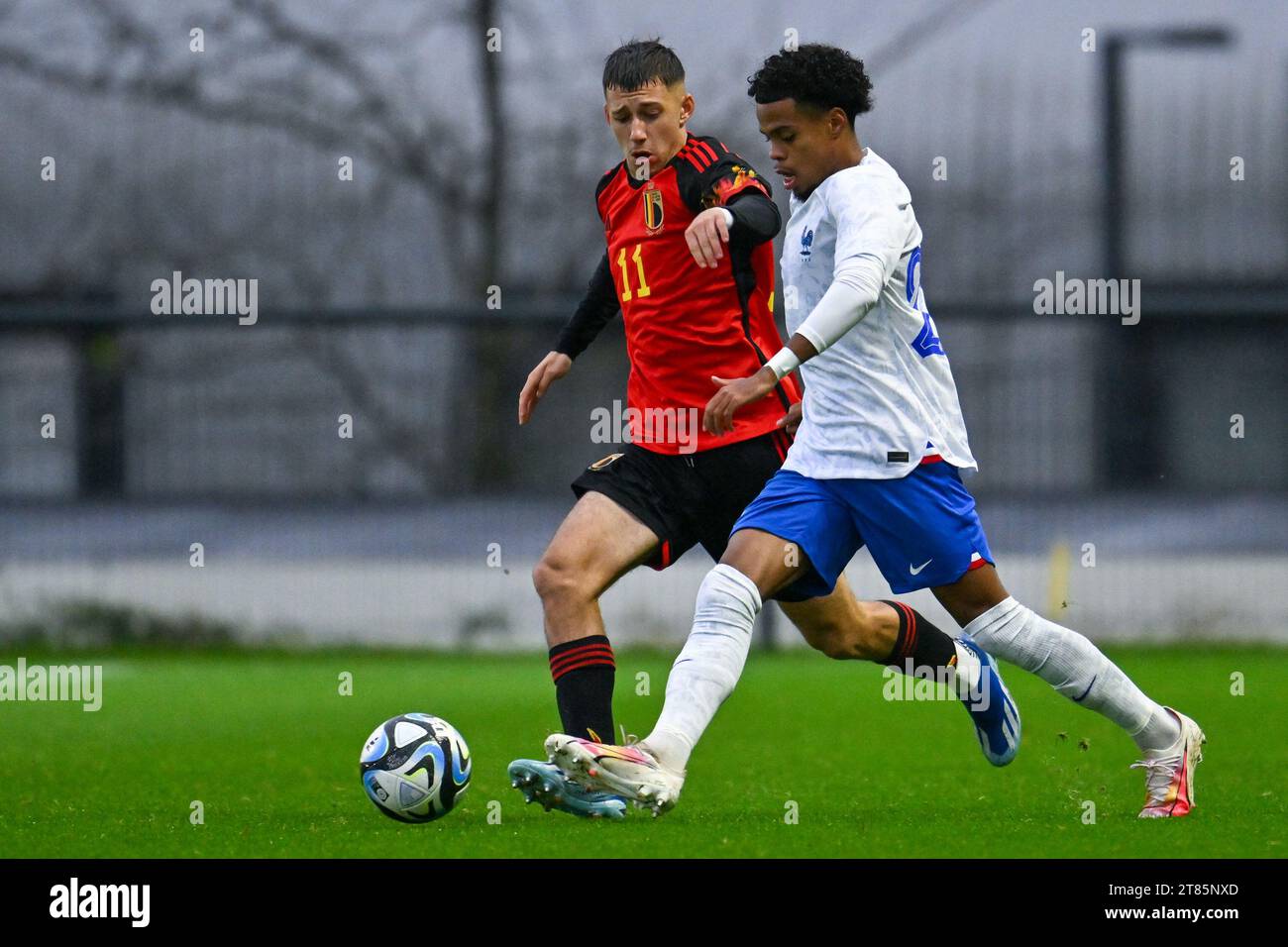 Tubize, Belgium. 18th Nov, 2023. Cedric Nuozzi (11) of Belgium pictured fighting for the ball with Therence KOUDOU (20) of France during a friendly soccer game between the national under 20 teams of Belgium and France on Saturday 18 November 2023 in Tubize, Belgium . Credit: sportpix/Alamy Live News Stock Photo