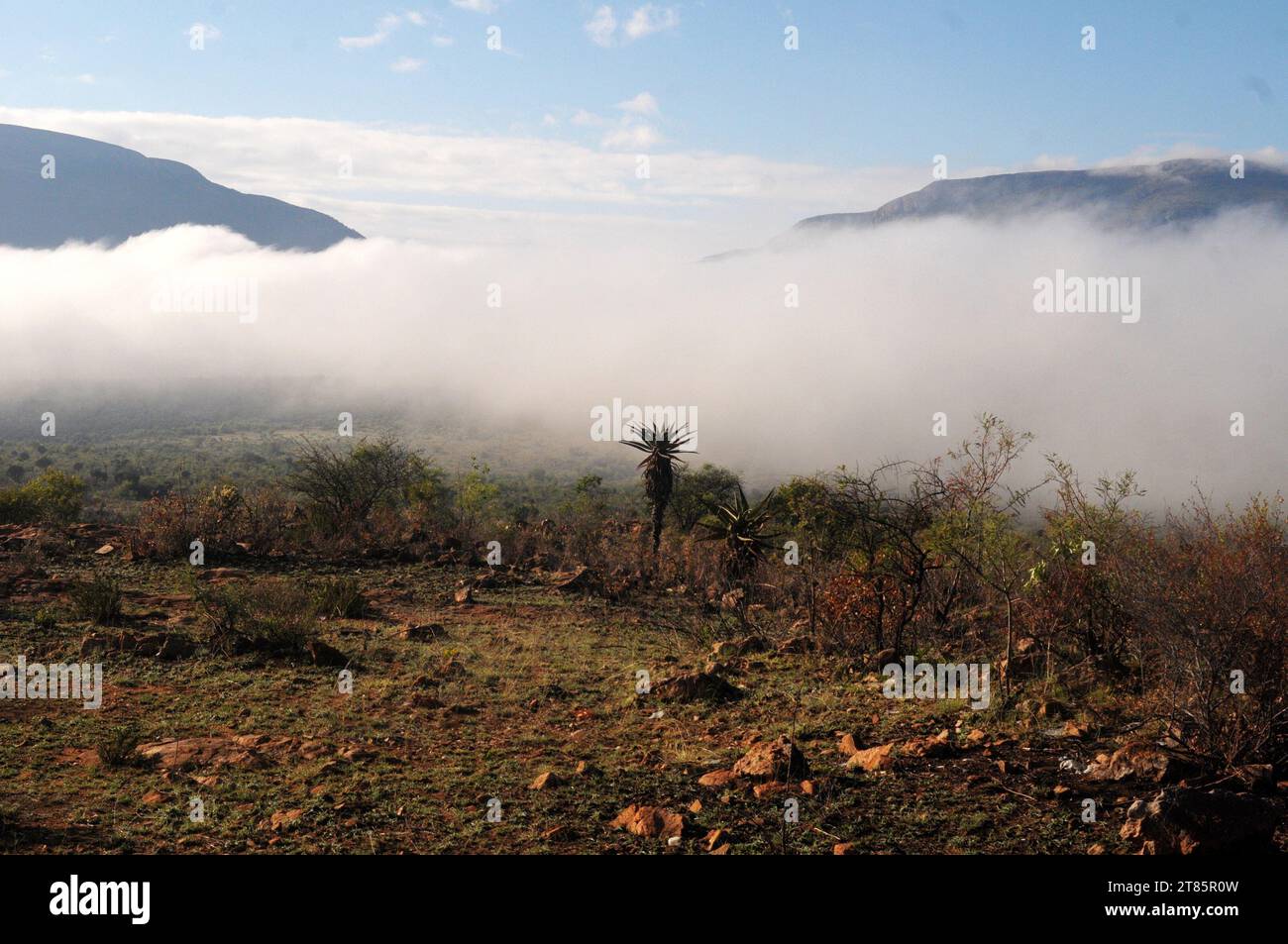 As the world battles climate change mist covers Maja village on the edges of the Drakensberg mountains in Limpopo, South Africa as weather patterns Stock Photo