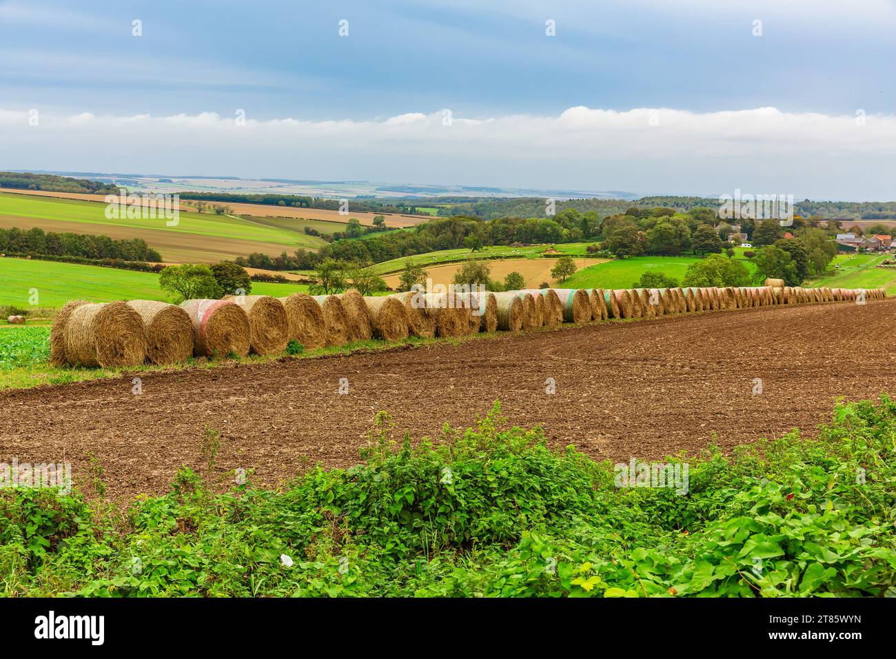 Yorkshire Wolds, East Yorkshire.  A rural scene with rich, fertile fields and a long, neat row of large rolled bales of straw in Autumn.  Horizontal, Stock Photo