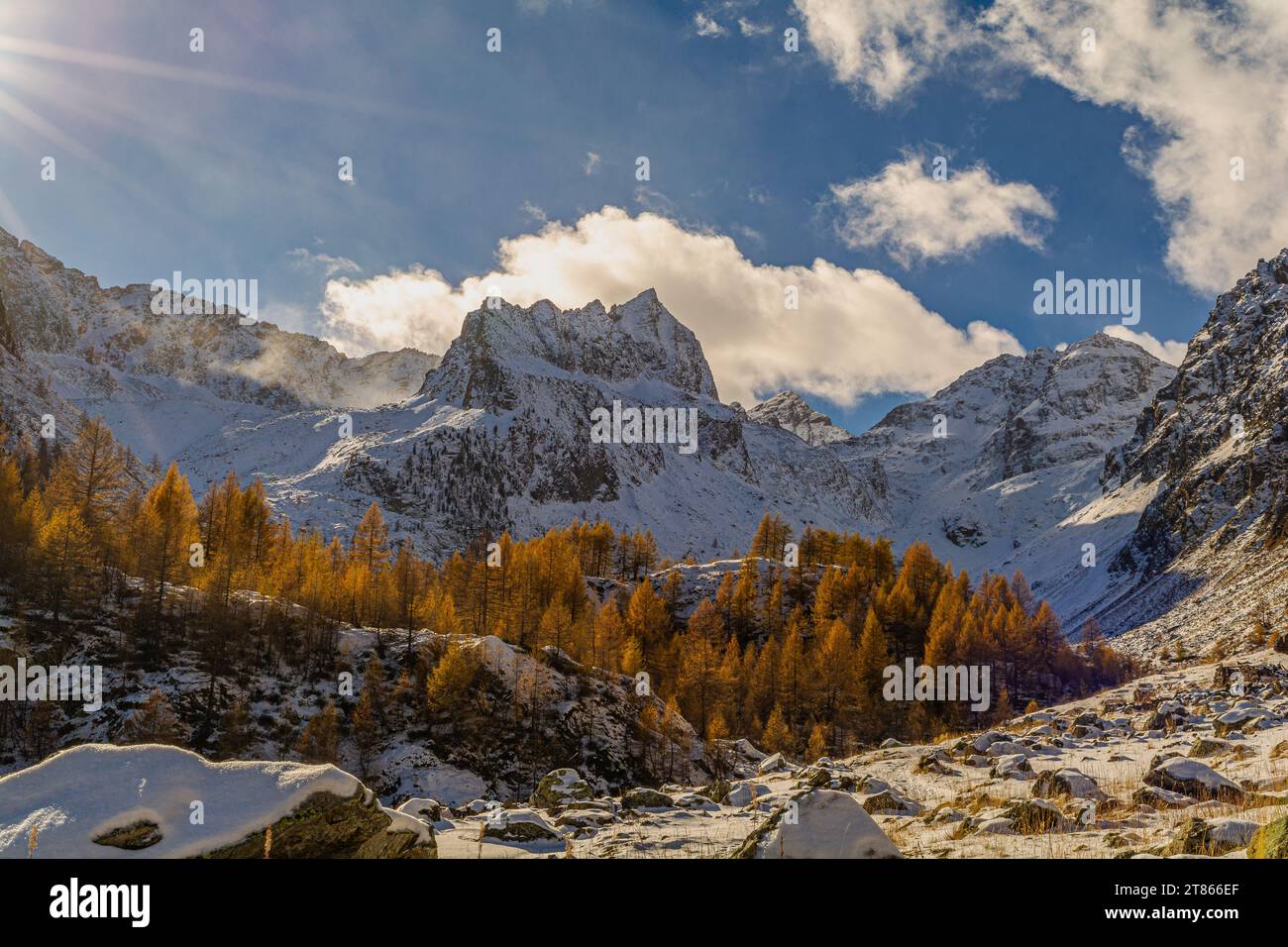The snow, the waterfalls and the golden larches towards the Migliorero refuge Stock Photo
