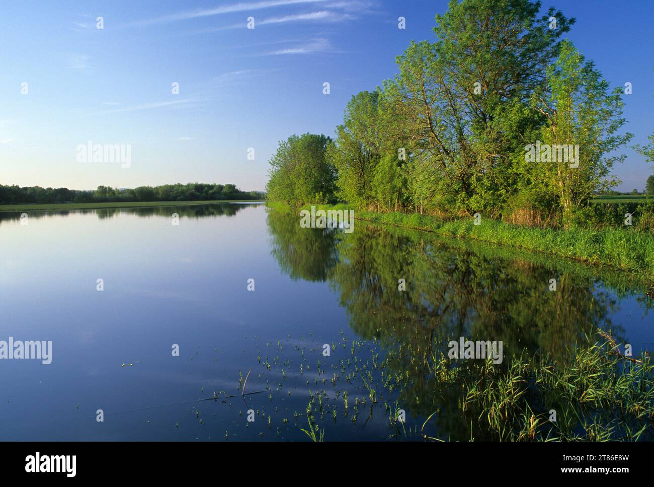 McFadden Marsh, William Finley National Wildlife Refuge, Oregon Stock Photo