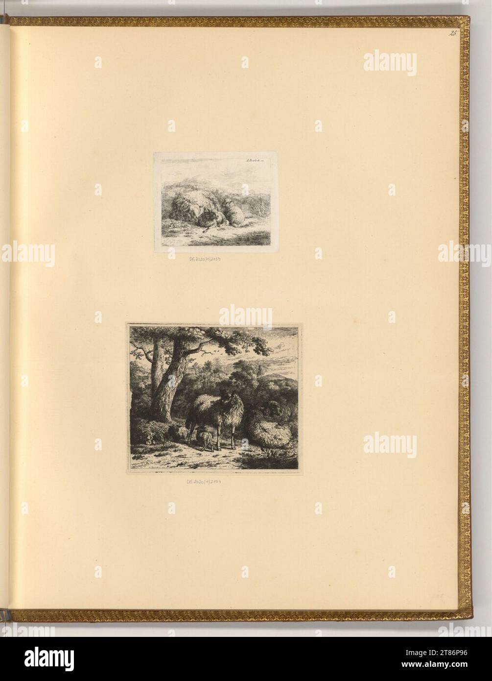 Johann Adam von Bartsch (Engraver) Sheep with lambs. etching 17701821