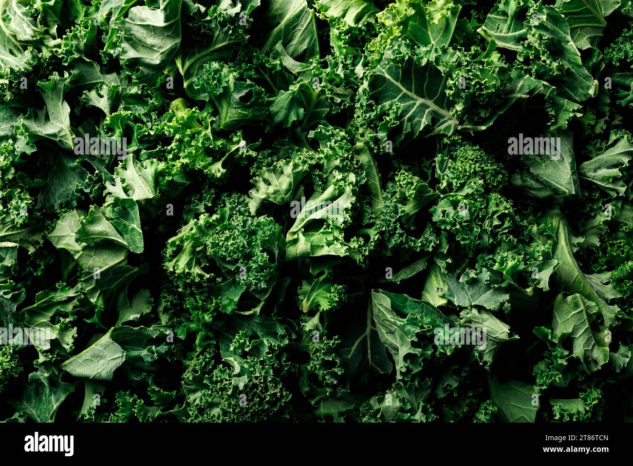 Kale cabbage green leaves close-up, background, top view Stock Photo