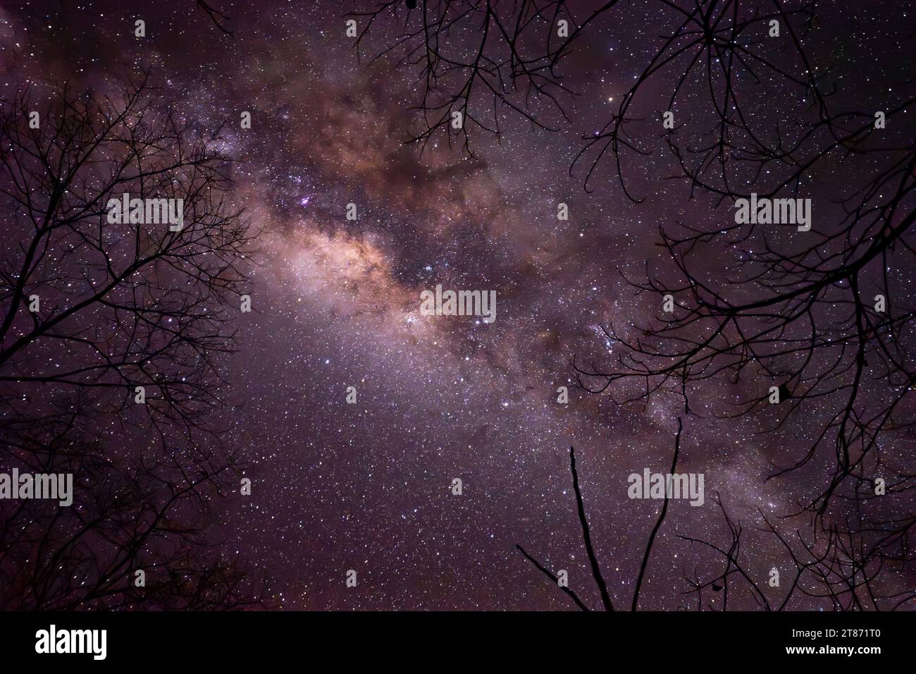 Pictures serie of the starry night over the Amazon Forest in Mato Grosso, Brazil. Look at the pictures in succession to see the movement of the stars. Stock Photo
