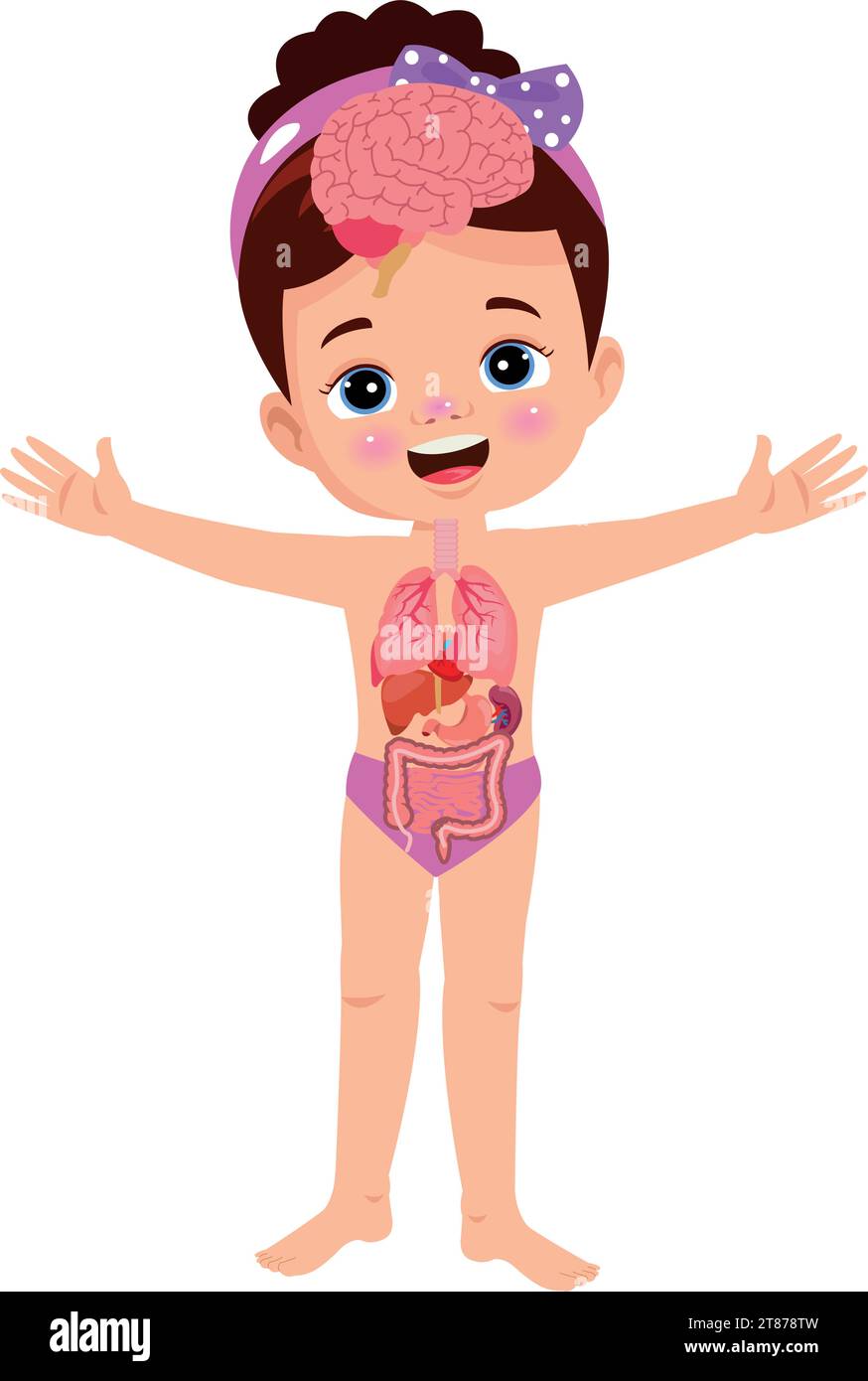 Human anatomy internal organ set with brain, lungs, intestine, heart, kidney, pancreas, spleen, liver and stomach. Vector isolated illustration Stock Vector