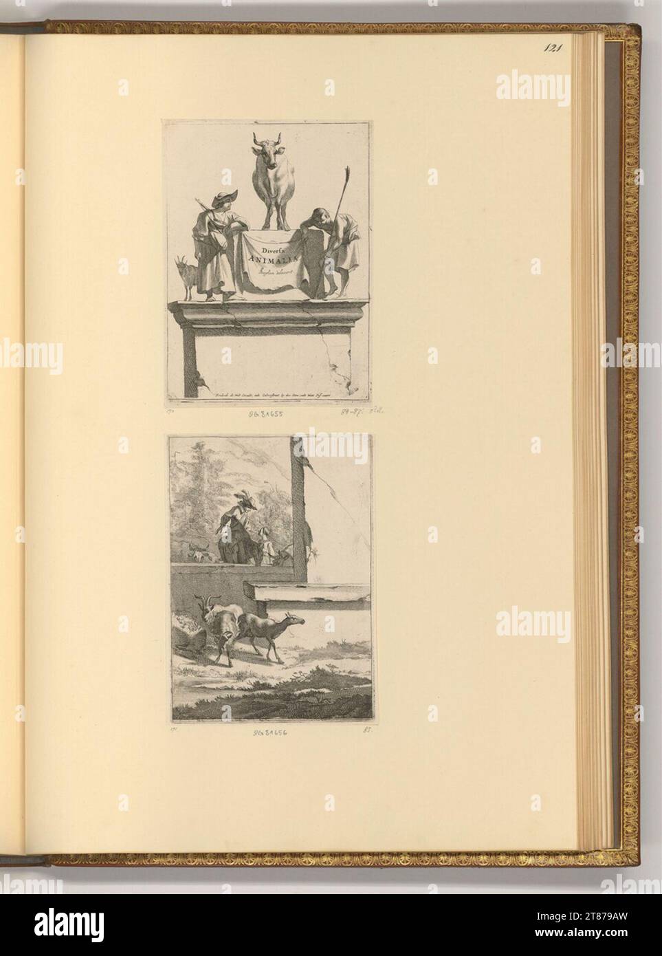 Jan de Visscher (Engraver) Diversa Animalia (title page); Rider behind a wall. etching 1653-1712 , 1653/1712 Stock Photo
