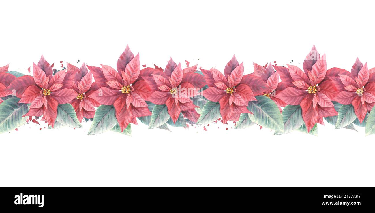 Watercolor painted seamless border, pattern of red Poinsettia, Pulcherrima flowers leaves, aquarelle splashes Plant illustration for Christmas, New Stock Photo