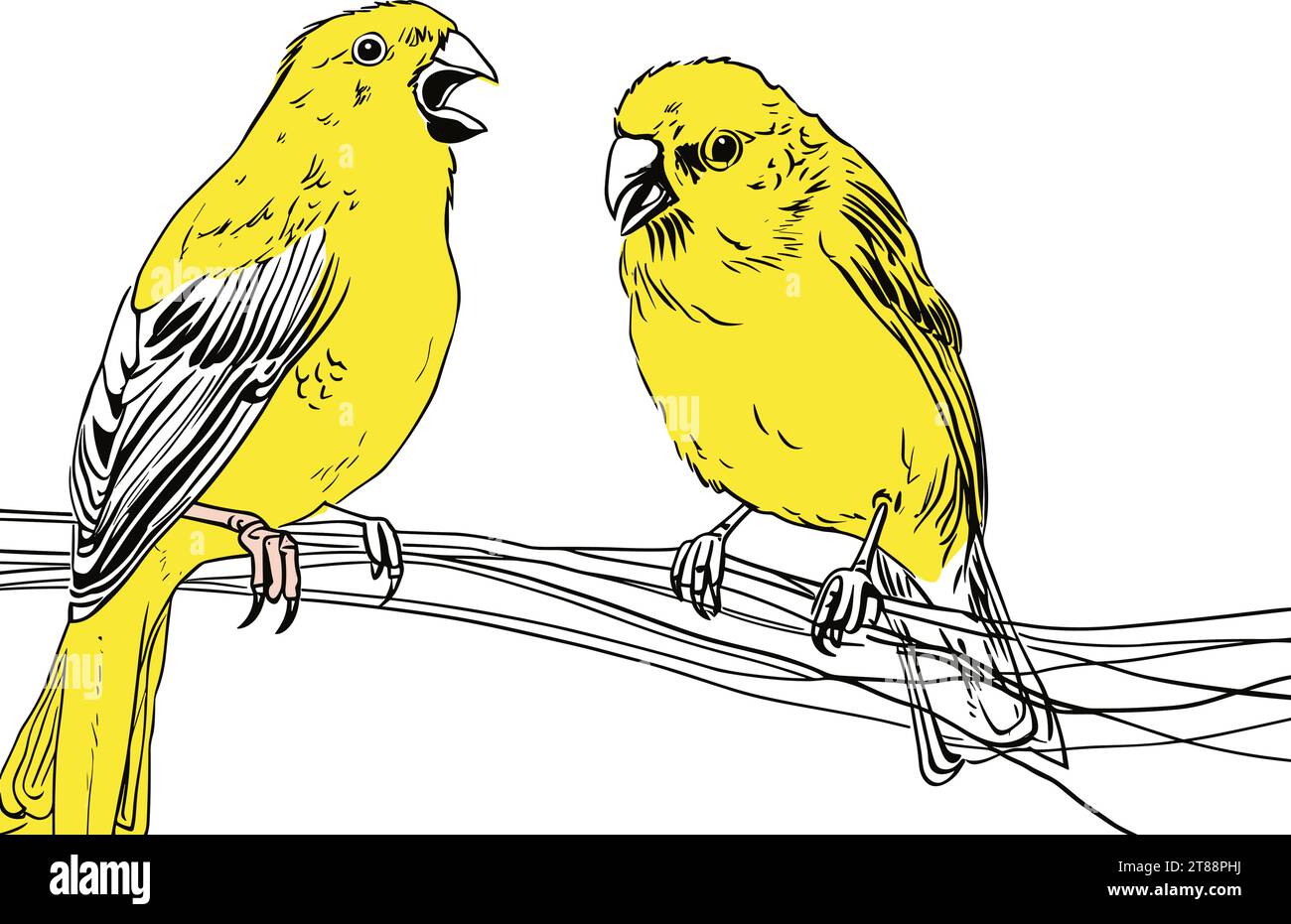 Two Birds On A Branch - A canary listen to a partner. Stock Vector