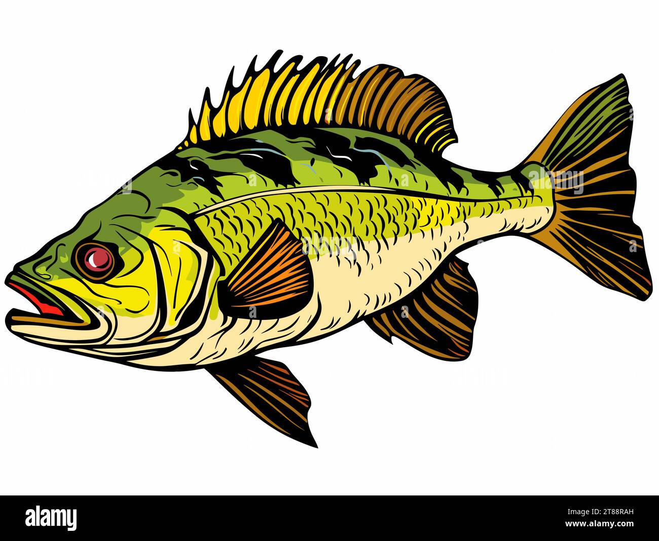 A Green And Yellow Fish - Catching Bass fish. Fish color. Vector fish