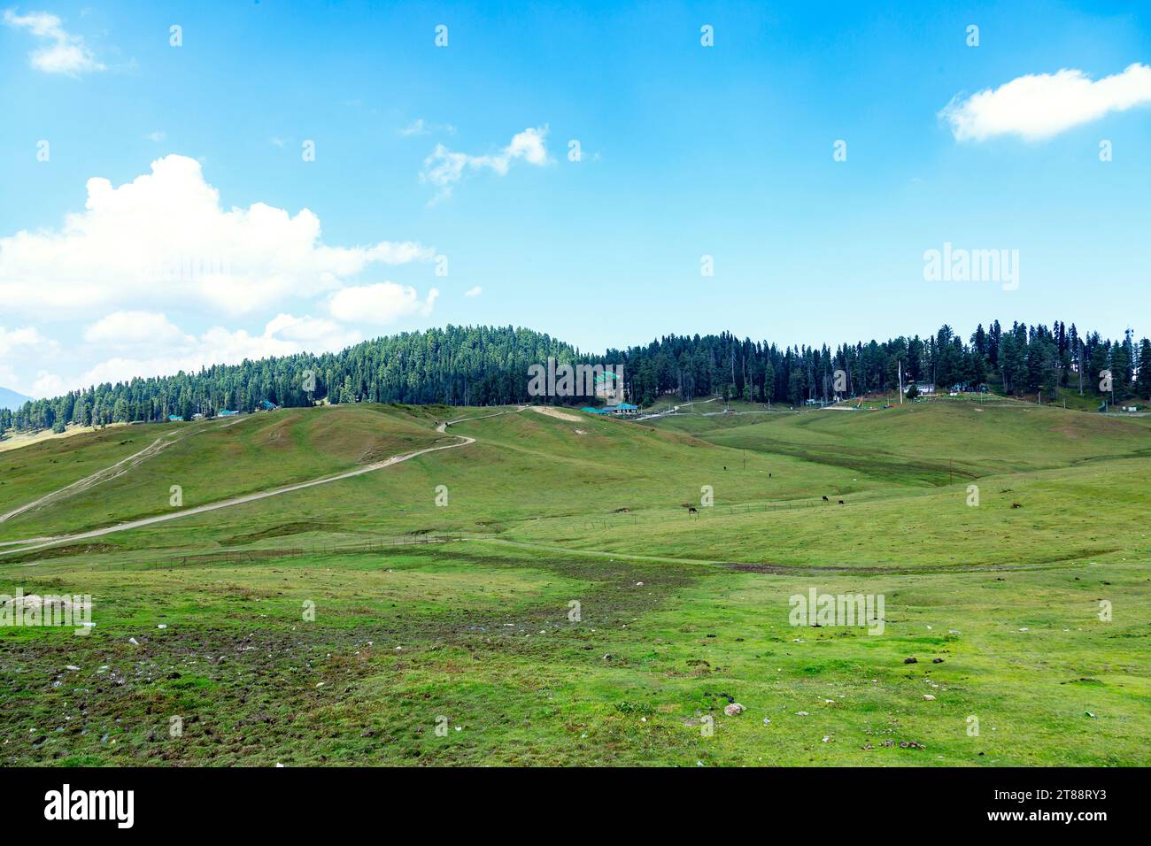 panorama green landscape of the hillstation of gulmargh in Jammu Kashmir,India, Stock Photo