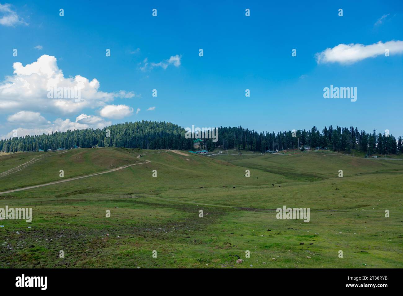 panorama green landscape of the hillstation of gulmargh in Jammu Kashmir,India, Stock Photo