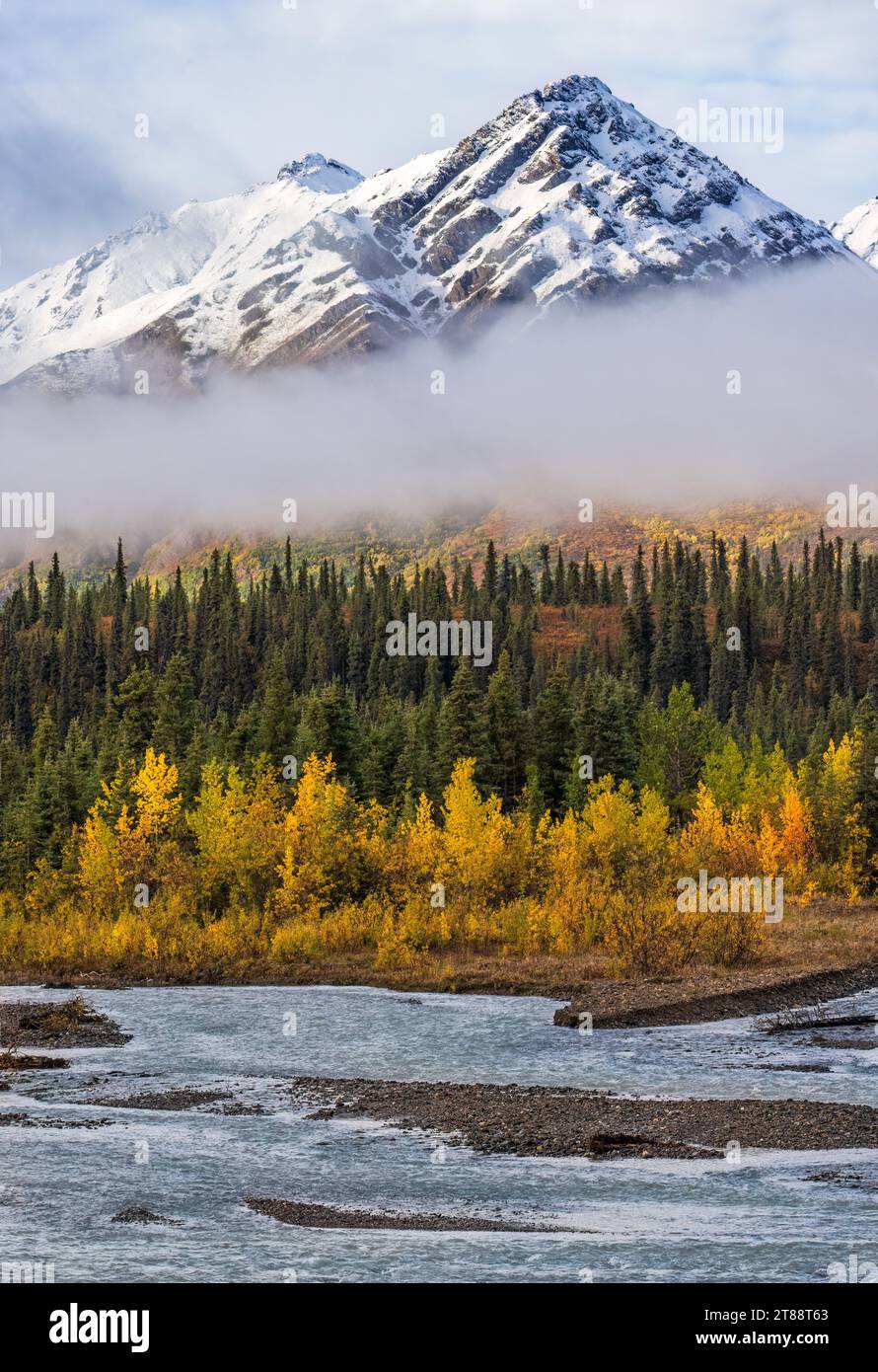 The seasons collide in Denali national park, with fall color, fog and snow all combining above the river in Denali National Park, Alaska. Stock Photo