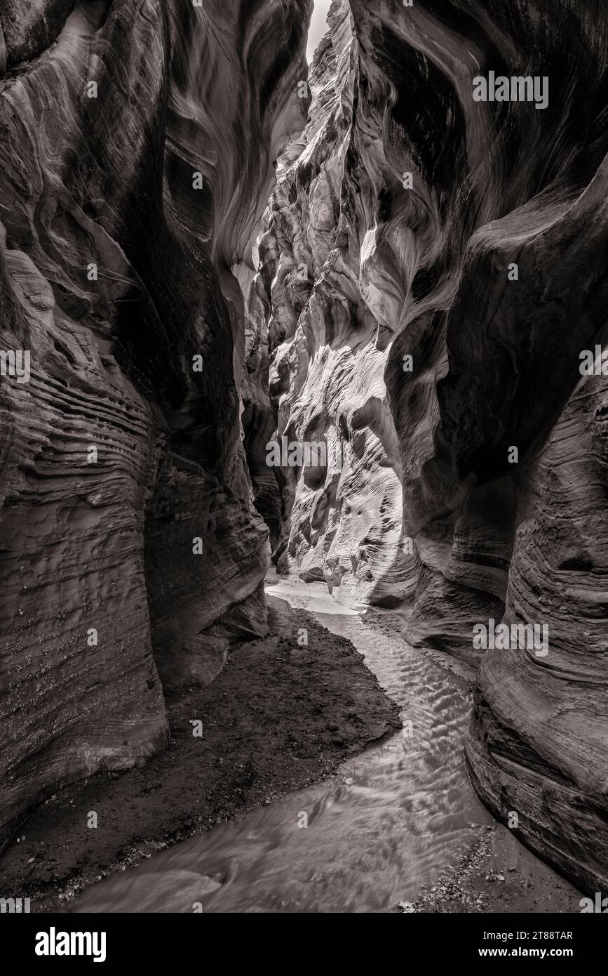 Spring snowmelt runs along the bottom of Willis Creek Slot Canyon in