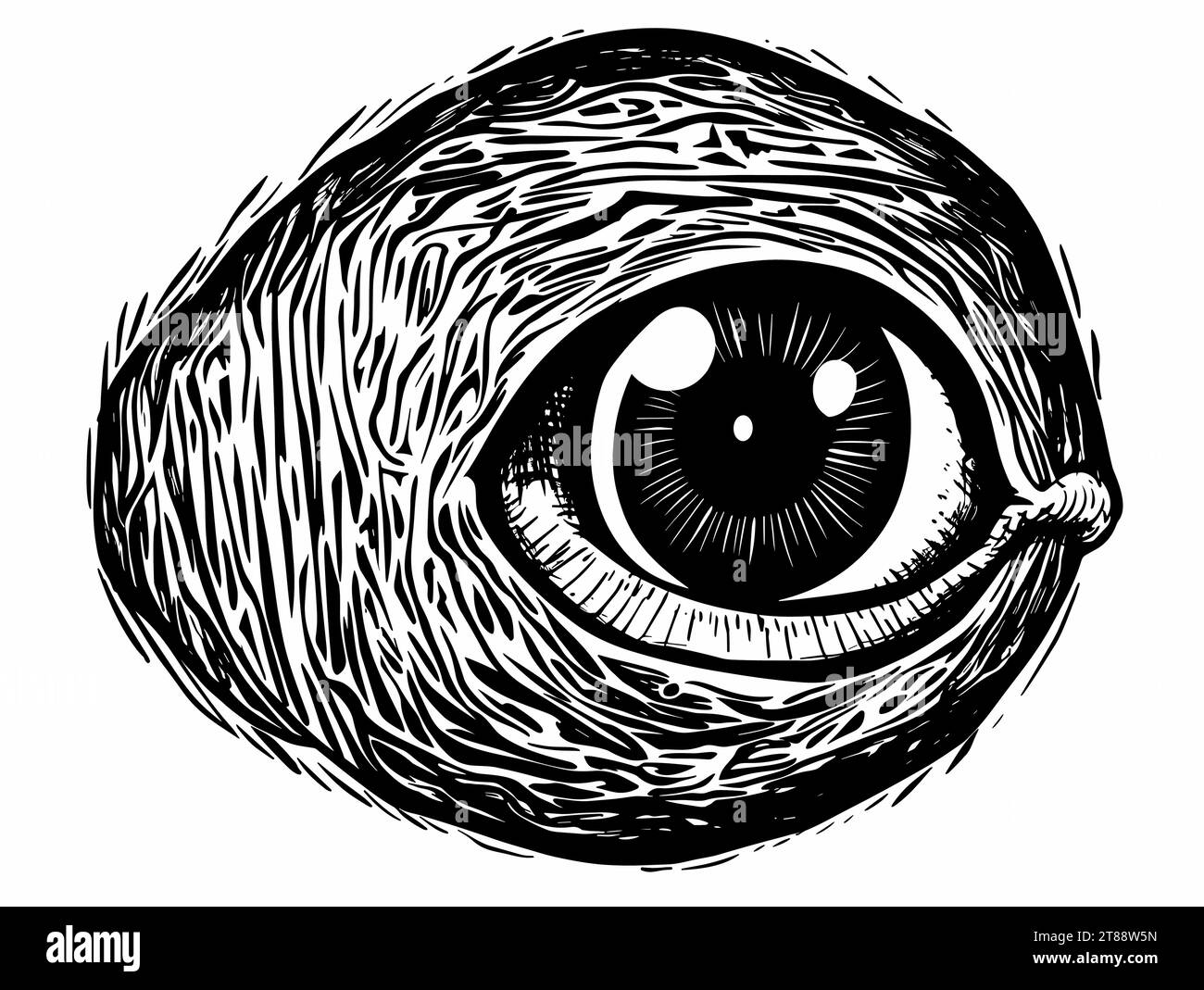 A Black And White Drawing Of An Eye Pen and ink illustration of an