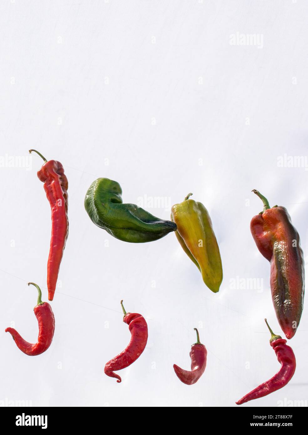 Found stand hi res stock photography and images Alamy