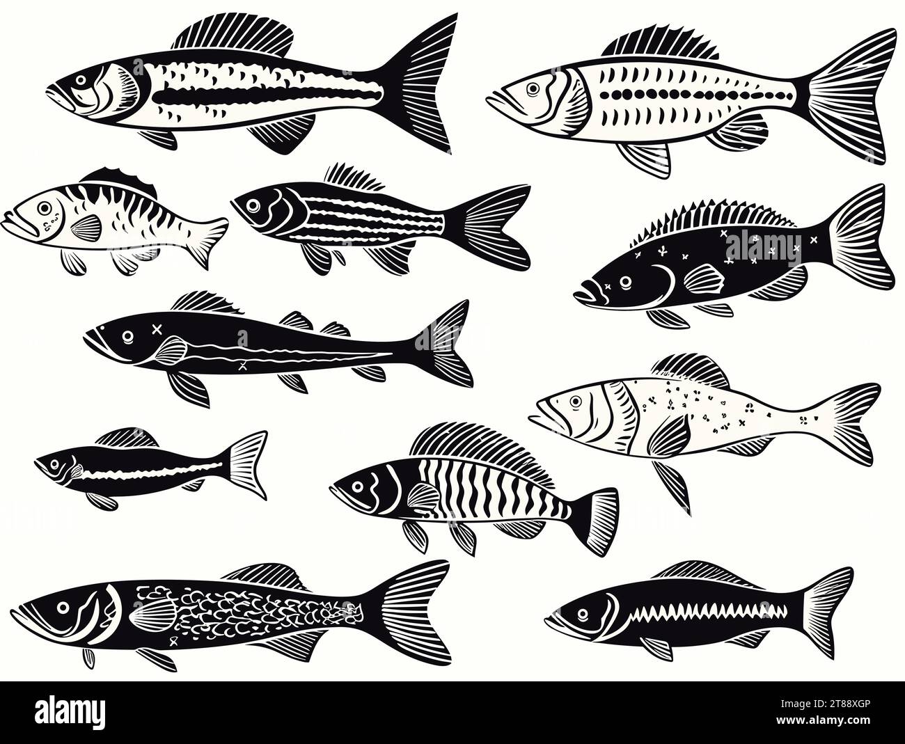 A Group Of Fish With Different Patterns - Types freshwater fish ...