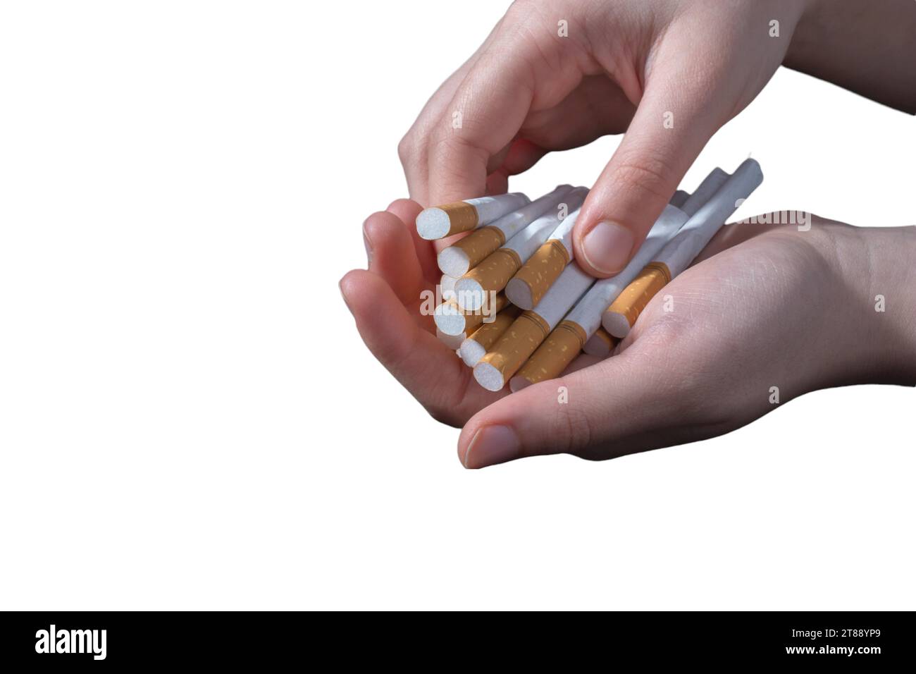 Tobacco smoke addiction, unhealthy lifestyle. Stop smoking, quit smoking or no smoking cigarettes. Hand holdingcigarettes in hands. Quit bad habit Stock Photo