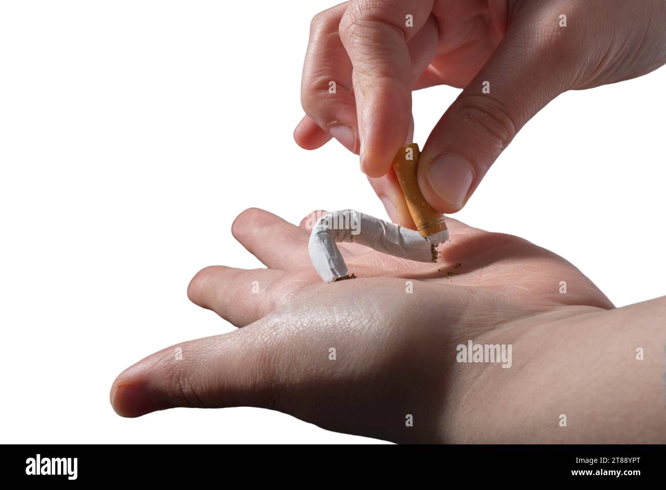 Tobacco smoke addiction, unhealthy lifestyle. Stop smoking, quit smoking or no smoking cigarettes. Hand holdingcigarette in hands. Quit bad habit Stock Photo