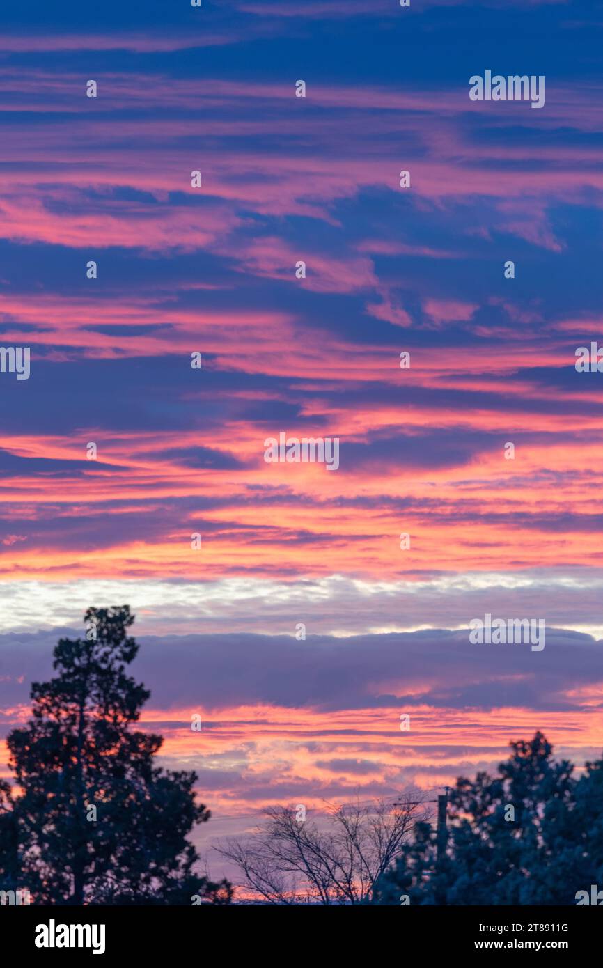 A colorful sunset sky and trees in silhouette Stock Photo - Alamy